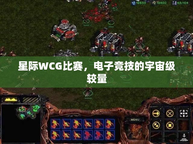 星际WCG比赛，电子竞技的宇宙级较量